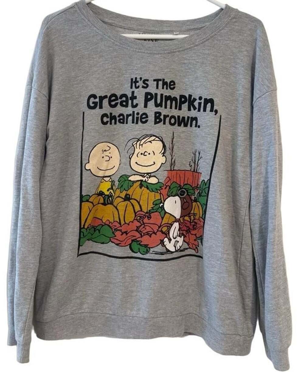 Mighty Fine Peanuts It's The Great Pumpkin Charlie Brown Sweatshirt Gray Medium